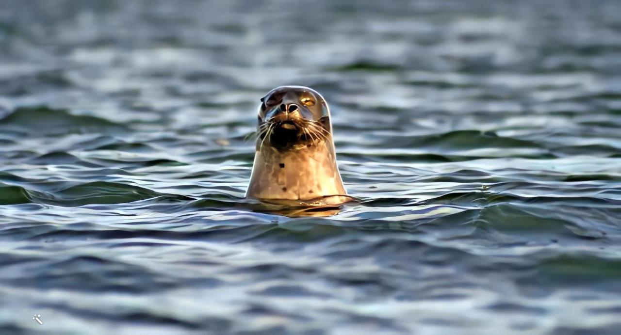 Sjoestugan, Solviken Rockneby Zewnętrze zdjęcie